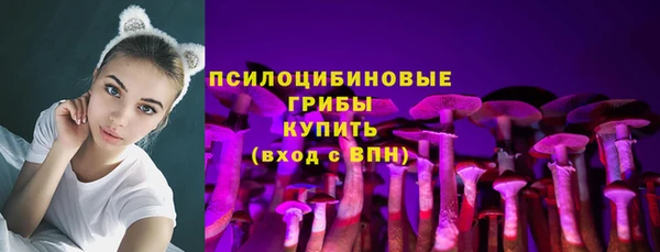 сатива Алексеевка