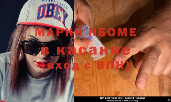 ГАЛЛЮЦИНОГЕННЫЕ ГРИБЫ Аркадак