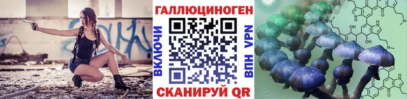 Псилоцибиновые грибы Cubensis  где купить наркотик  кракен вход  Приволжск 